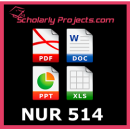 NUR 514 Organizational Leadership and Informatics